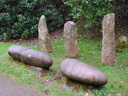 collection of ogham stones